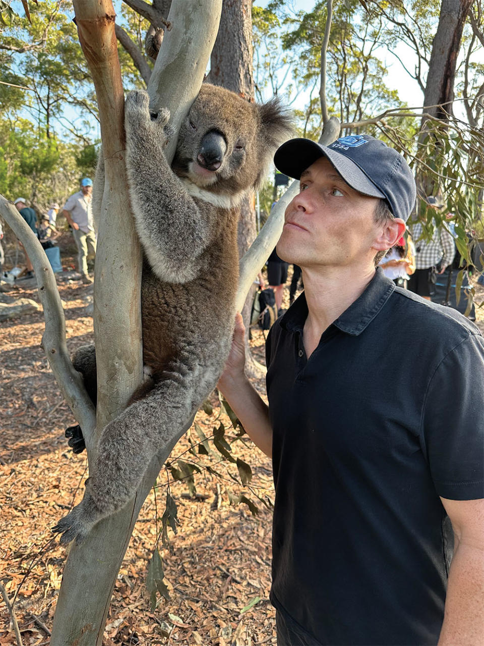 Mandatory koala photo, says Gluck.