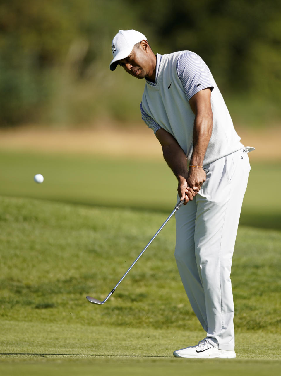 Tiger Woods chips onto the fourth green during the second round of the Genesis Invitational golf tournament at Riviera Country Club, Friday, Feb. 14, 2020, in the Pacific Palisades area of Los Angeles. (AP Photo/Ryan Kang)