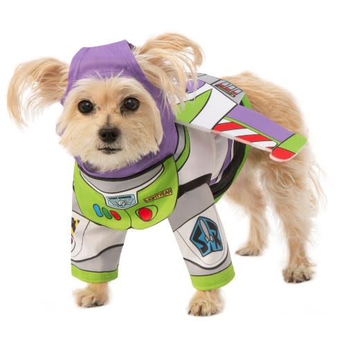 NFL Dog Apparel - Pet Costume Center