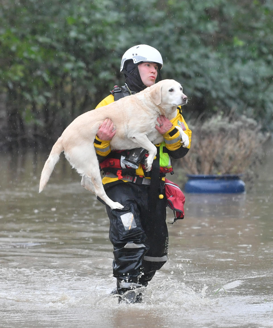 A firefighter carries a dog to safety as part of ongoing rescue operations. (PA)