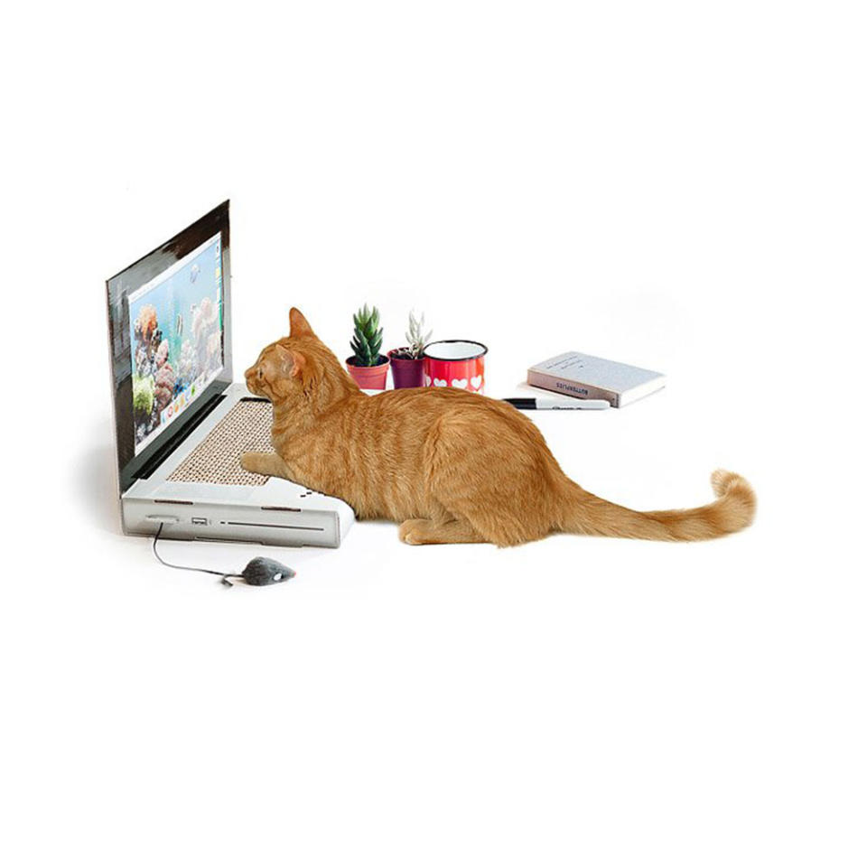 <p>Wenn Katzenmemes nicht genug sind, dann sorgt der Anblick einer Katze, die an ihrem eigenen Laptop kratzt, garantiert für Lacher. Die Tastatur ist auf Katzenminze und Krallen vorbereitet, und den Bildschirm können Sie mit Ihren eigenen Hintergrundbildern laden.<br>Kaufen: $ 35 (ca. 30,60 €), uncommongoods.com </p>