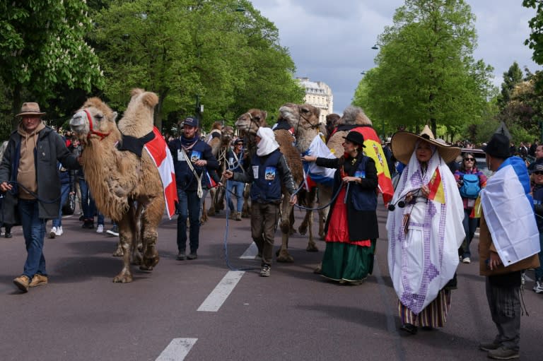 Una multitud participa en un desfile de camélidos frente al Castillo de Vincennes, cerca de París, el 20 de abril de 2024 (ALAIN JOCARD)
