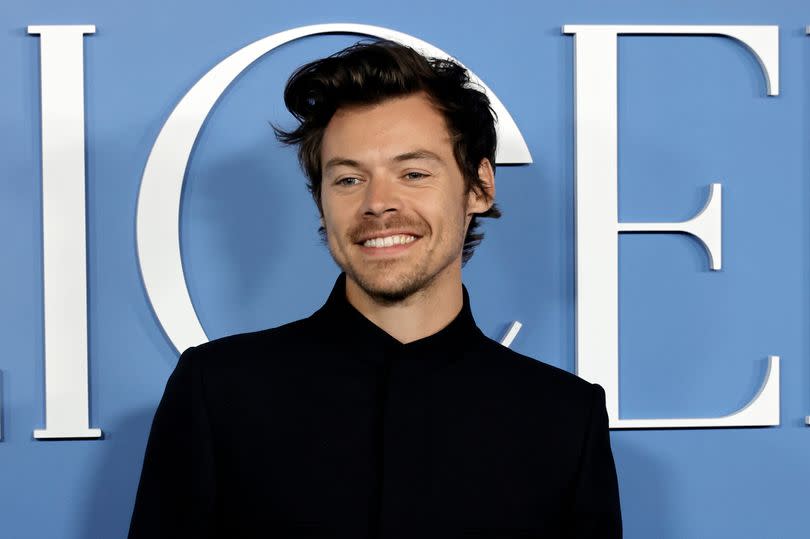 Harry Styles -Credit:Getty Images