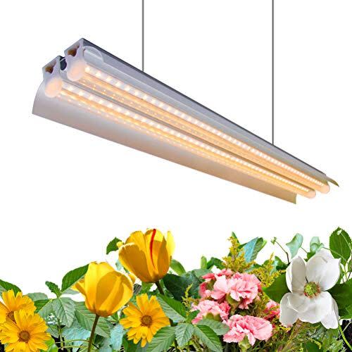 LED Hanging Light