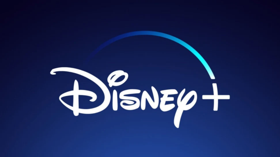 Gift a subscription to a popular streaming service, like Disney+.