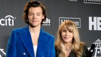 Harry Styles' Friendship With Stevie Nicks: A Complete History