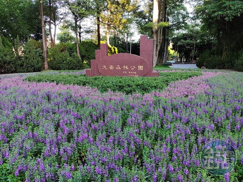 大安森林公園9月7日傳出有宗教活動違反防疫規定，可巴德猶太協會理事長TABIB SHLOMO澄清沒在場。