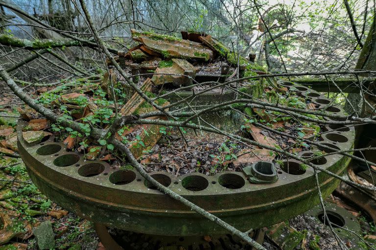 La vieja máquina embotelladora, entre la vegetación y los fragmentos de tejas importadas de Francia