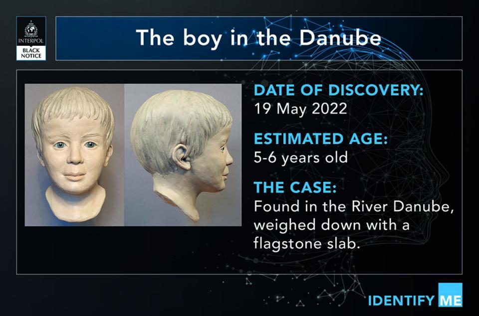 Interpol have issued an appeal with a facial reconstruction of the young boy (Interpol)