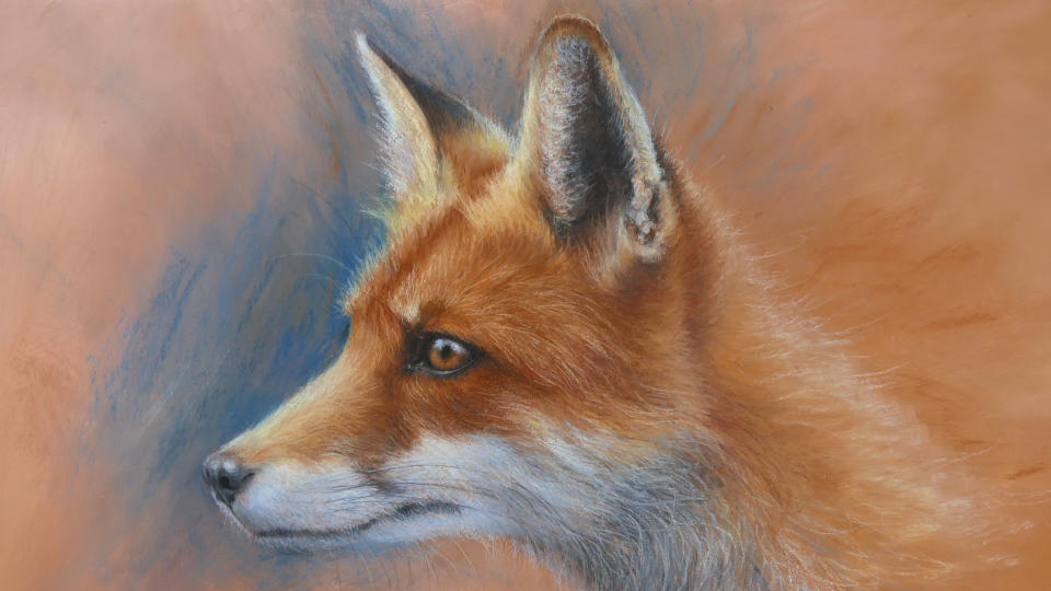 how to draw a fox - image of a fox in pastels