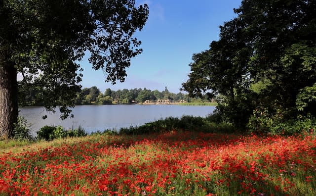 Summer weather July 23rd 2019