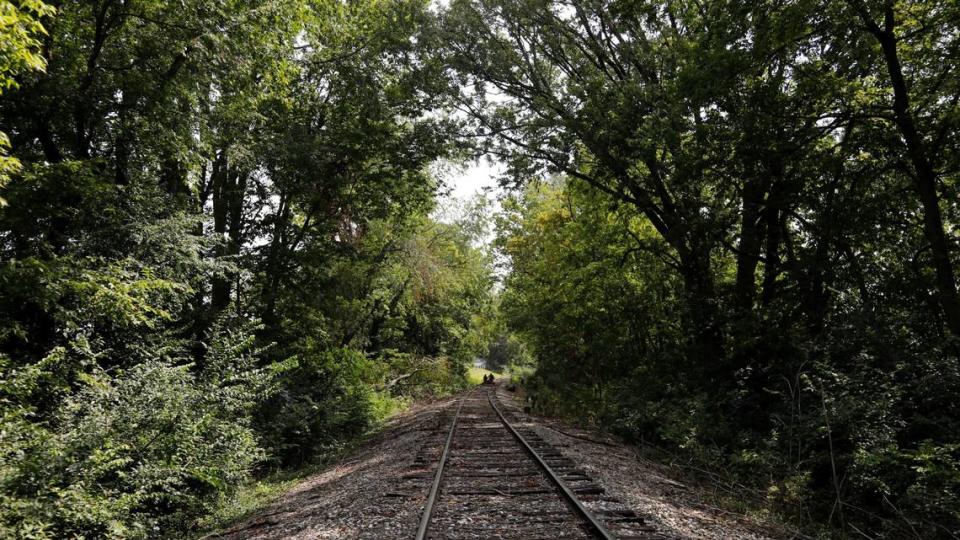 Visitors riding “Rail Explorers” pedal over train tracks on Friday, Aug. 4, 2023 at the Bluegrass Scenic Railroad and Museum in Versailles, Ky. Olivia Anderson/oanderson@herald-leader.com