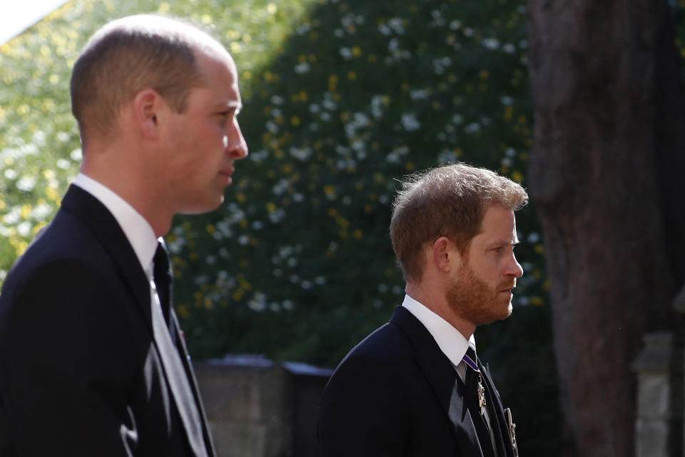 Prince Harry and Prince William