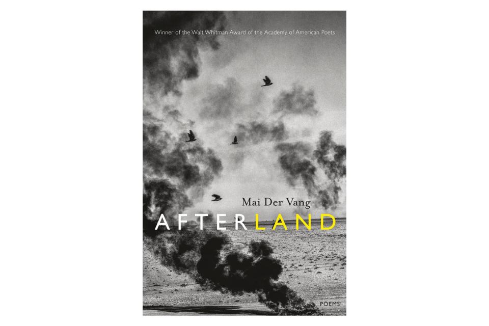 Afterland book