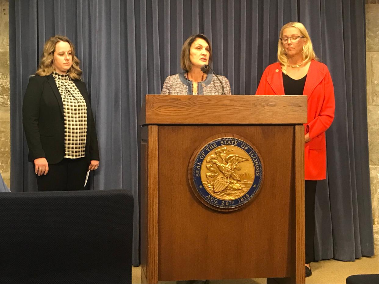 State Sen. Sally Turner, at podium, introduces Senate Bill 4221 on Tuesday. The bill would increase penalties for those selling opioids with fentanyl.