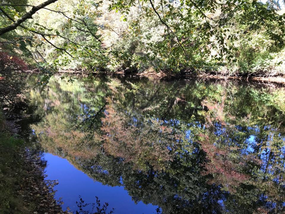 The blue-blazed trail through the Cottrell Preserve follows the banks of the Pawcatuck River.