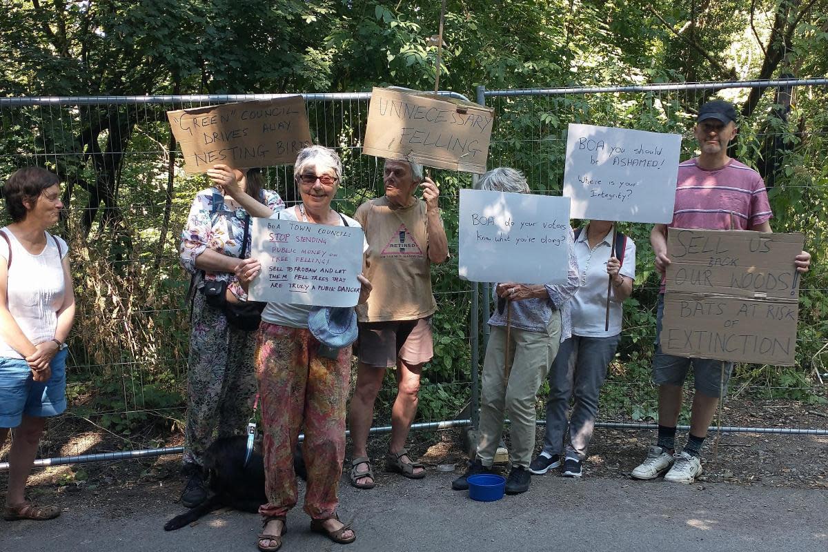 Dispute over ancient woodland set for court battle after mediation fails