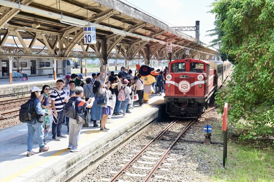 今(6)日阿里山林鐵終於全線通車，而通車首日雖車票全被搶光，不過仍然吸引許多鐵道迷一睹阿里山百年風華。   圖：阿里山林鐵文資處／提供