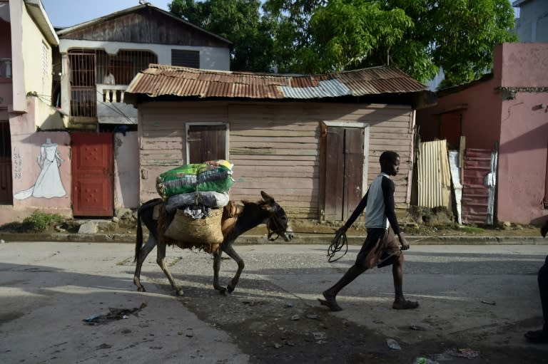 A boy walks with a donkey in the city of Port-de-Paix, on October 8, 2018