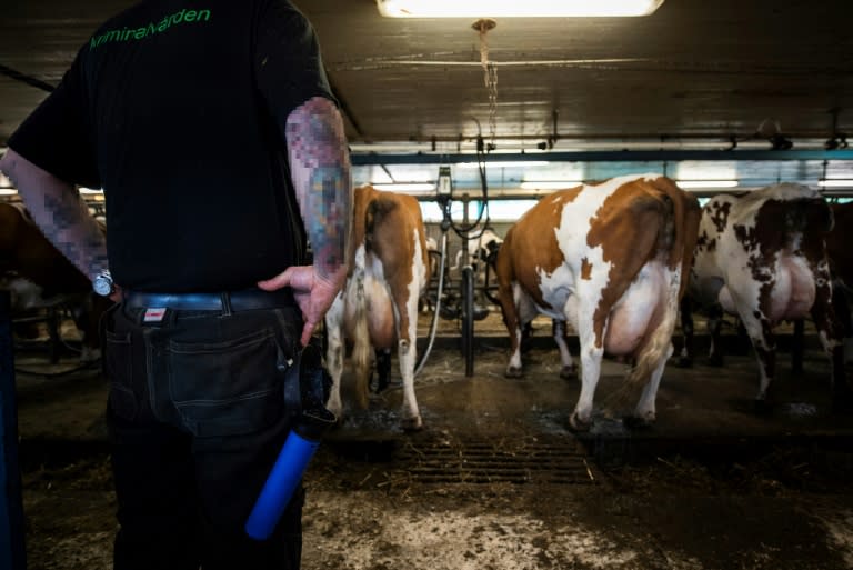 Sweden has three open prisons functioning as farms where inmates work to help prepare them to reintegrate into society