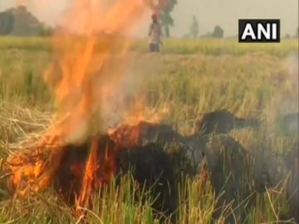 A visual of stubble burning in Punjab's Amritsar.