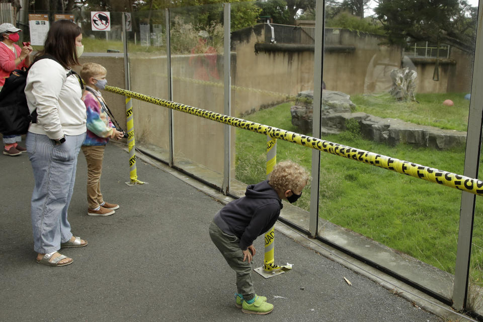 People wear masks while viewing the gorilla habitat at the San Francisco Zoo on Monday, July 13, 2020, in San Francisco. (AP Photo/Ben Margot)