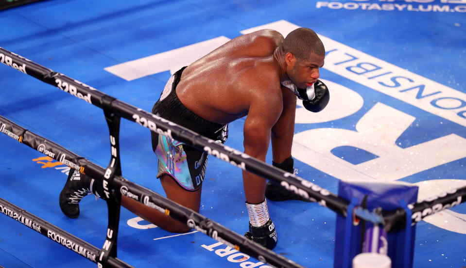 El boxeador Daniel Dubois apoyando la rodilla en el suelo del ring