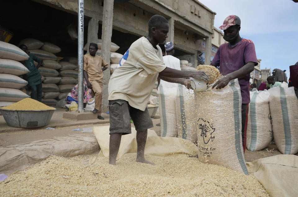 Men bag grain to sell at Dawanau International Market in Kano Nigeria, Friday, July 14, 2023. Nigeria introduced programs before and during Russia's war in Ukraine to make Africa's largest economy self-reliant in wheat production. But climate fallout and insecurity in the northern part of the country where grains are largely grown has hindered the effort. (AP Photo/Sunday Alamba)