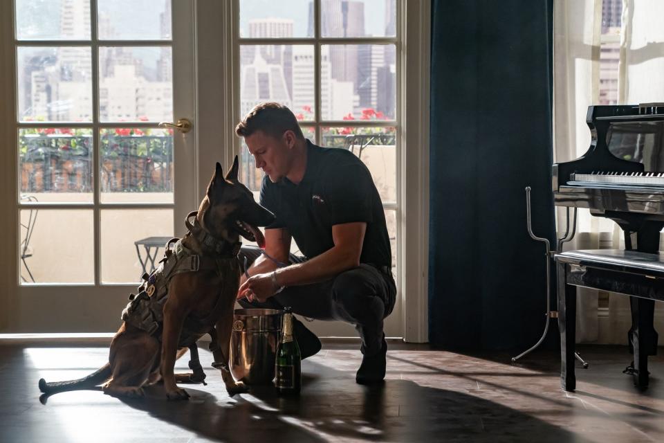 Mit "Dog" erzählt Channing Tatum eine sehr persönliche Geschichte. Auch sein eigener vor wenigen Jahren verstorbener Hund hieß Lulu. (Bild: Leonine)