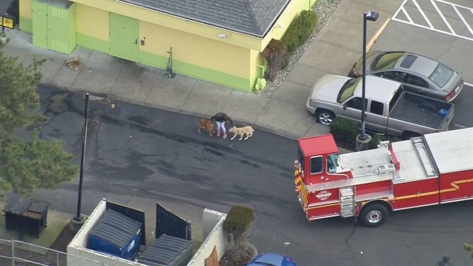 Chopper 7 was over The Dog Resort in Seattle's Lake City neighborhood, where a fire broke out.