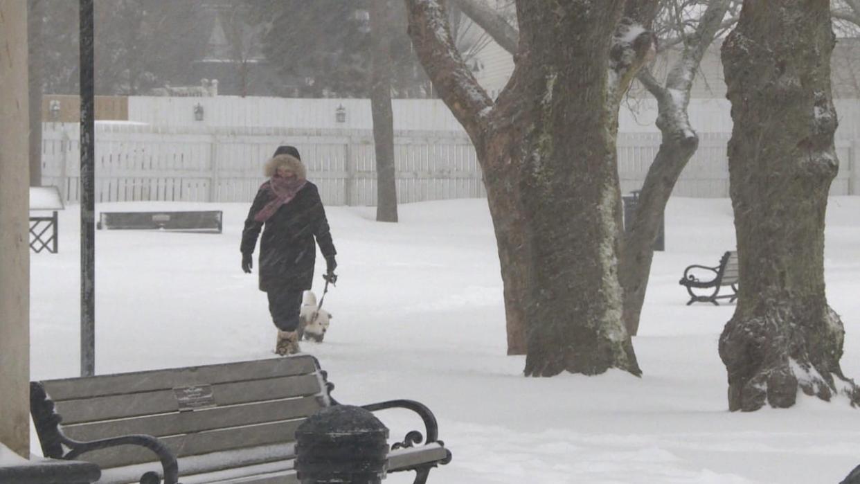 The snow is expected to stop falling by mid-day on Saturday. (Kyle Mooney/CBC - image credit)