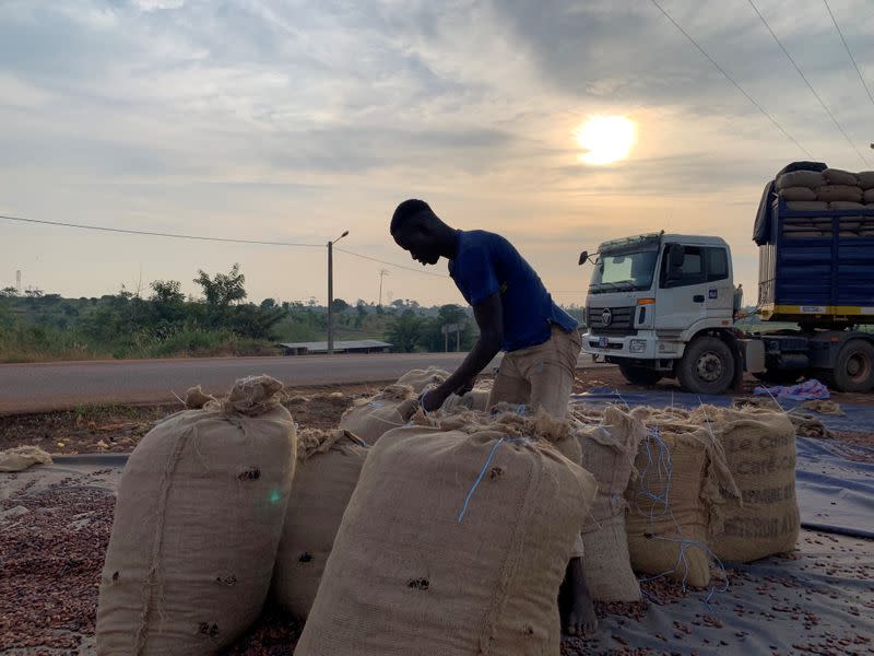 FILE PHOTO: A worker sews up cocoa bags to load them into a truck bound for the port of San Pedro, at a cocoa cooperative in Duekoue