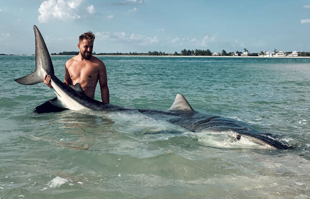 Florida shark hunter shares video of 4 metre 'monster'