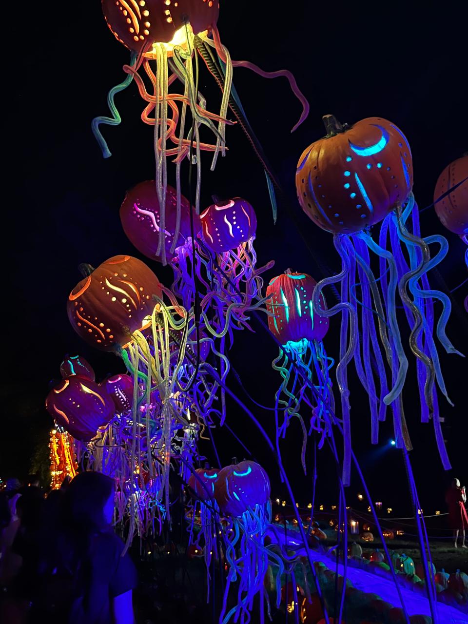 "Bioluminescent" jellyfish float through the Great Jack-o-Lantern Blaze in Croton-on-Hudson on Sept. 13, 2023.