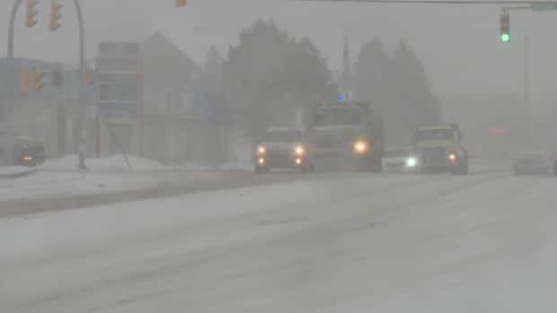 Significant snowfall is expected for most of the island Friday and Saturday.  (Jeremy Eaton/CBC - image credit)