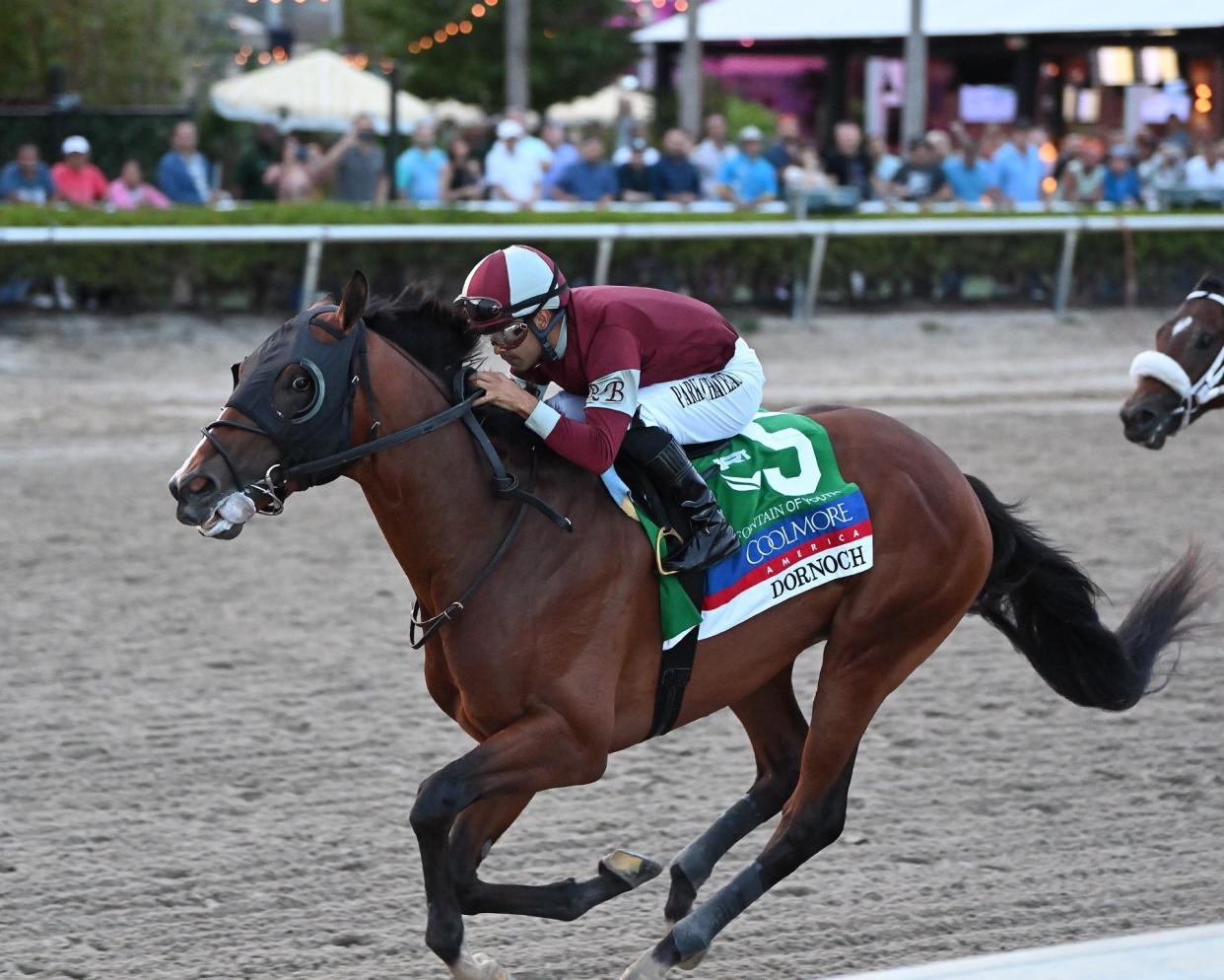 Dornoch and jockey Luis Saez win the Fountain of Youth on March 2 at Gulfstream Park.