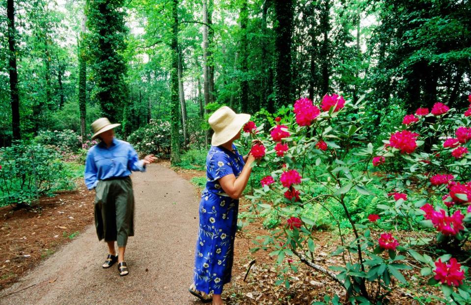 Calloway Gardens - Georgia