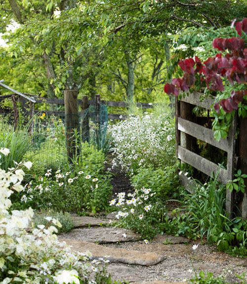 Natural Rock Walkway