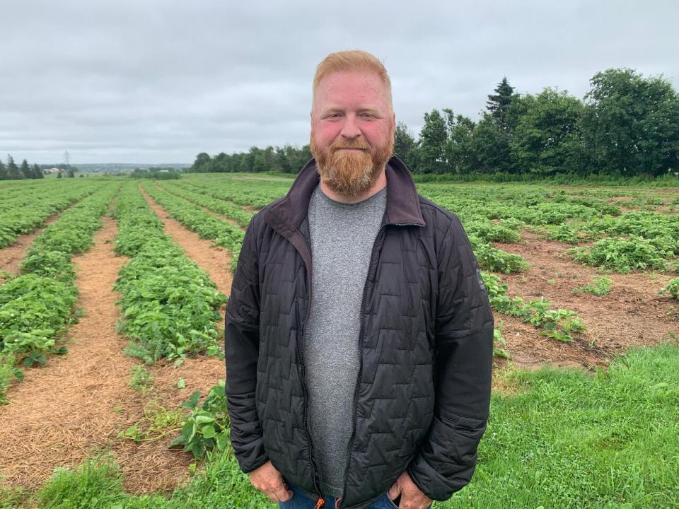 John Hardy says people are calling every day to ask when strawberries will be ready to pick at his Fox Creek Farm in Cornwall, P.E.I.