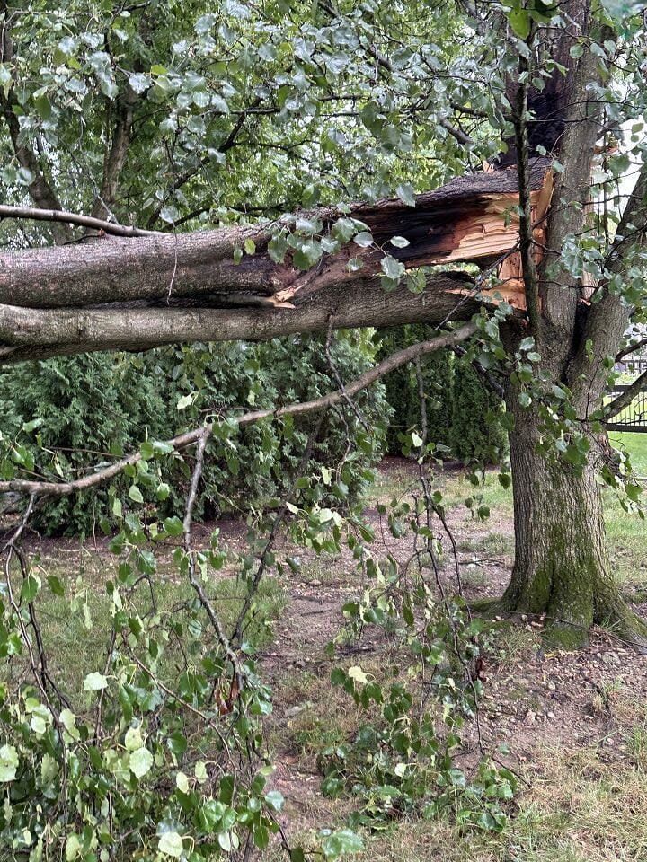 Storm Damage in the Miami Valley