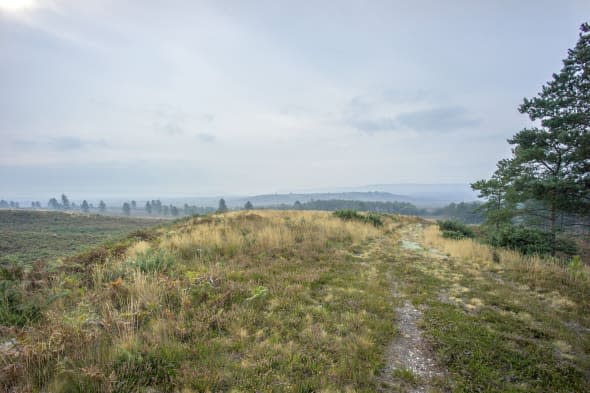 National Trust buys Hardy countryside