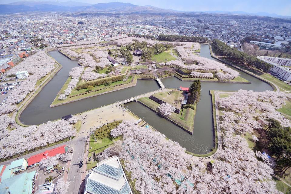 日本櫻花2024｜北海道賞櫻5大好去處！五稜郭公園粉紅五角星形城廓/心形絕景天狗櫻/7km櫻花大道+櫻花祭典