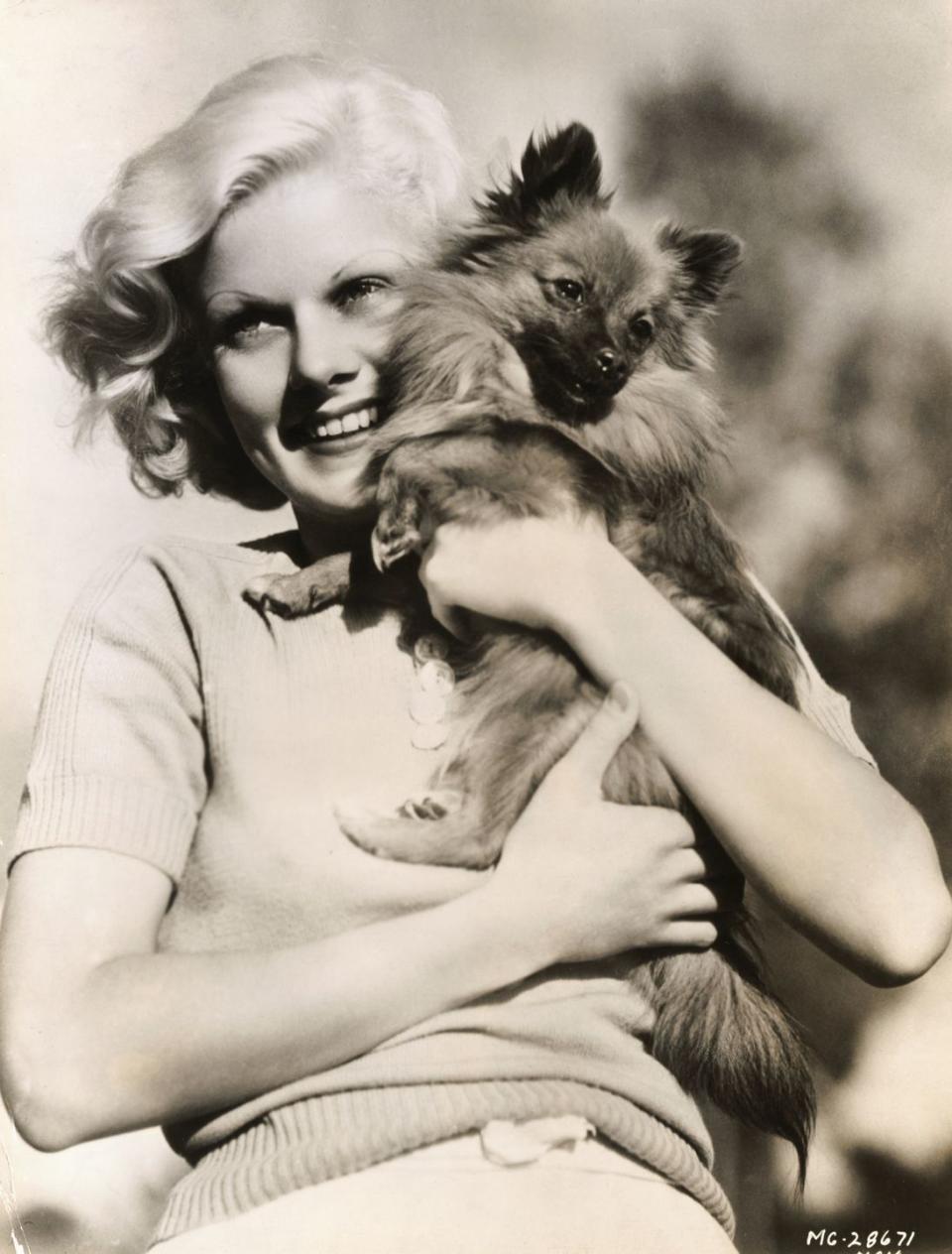 <p>Known as the original blonde bombshell, Jean Harlow was the <a href="https://www.history.com/this-day-in-history/jean-harlow-dies" rel="nofollow noopener" target="_blank" data-ylk="slk:darling of MGM;elm:context_link;itc:0;sec:content-canvas" class="link ">darling of MGM</a> at the beginning of what is considered Hollywood's Golden Age, and her Pekingese, Oscar, was by her side during that time. Here, the actress is seen hugging her dog, who was <a href="https://www.imdb.com/name/nm0001318/bio" rel="nofollow noopener" target="_blank" data-ylk="slk:inspiration for her role in;elm:context_link;itc:0;sec:content-canvas" class="link ">inspiration for her role in </a><em><a href="https://www.imdb.com/name/nm0001318/bio" rel="nofollow noopener" target="_blank" data-ylk="slk:Dinner at Eight;elm:context_link;itc:0;sec:content-canvas" class="link ">Dinner at Eight</a>. </em></p>