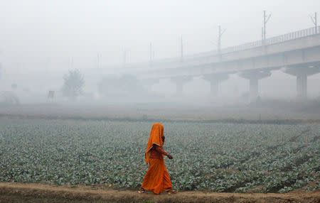 A woman walks across a field on a smoggy morning in New Delhi, India, November 13, 2017. REUTERS/Saumya Khandelwal