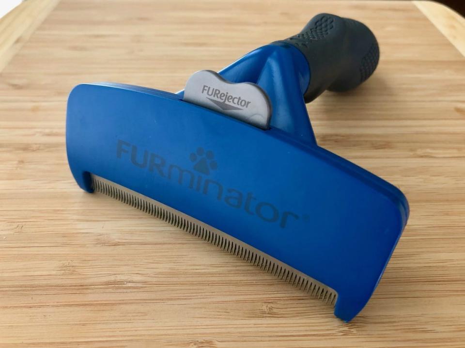 furminator dog brush