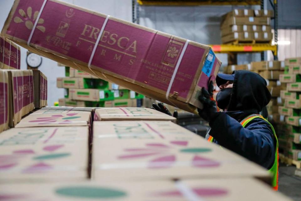 An Avianca Cargo employee arranges boxes with flowers arriving at Miami International Airport from Colombia and Ecuador on Monday, Feb. 6, 2023.