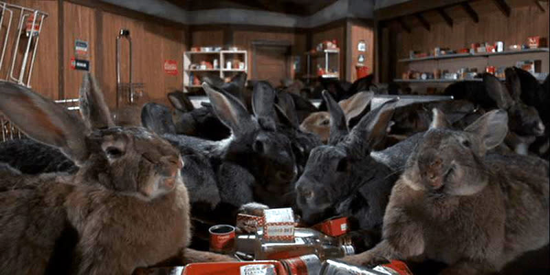 Giant Mutant Rabbits, ‘Night of the Lepus’ (1972)