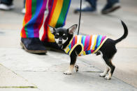 <p>Thousands of people take part in the annual Belfast Pride event in Belfast city center celebrating Northern Ireland’s LGBT community on Aug. 5, 2017. (Photo: Press Eye Ltd/REX/Shutterstock) </p>