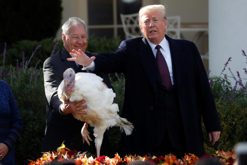 President Trump declares a Thanksgiving turkey named “Peas” pardoned as National Turkey Federation Chairman Jeff Sveen looks on during the 71st presentation and pardoning of the Thanksgiving turkeys in the Rose Garden of the White House in Washington, D.C., Nov. 20, 2018. (Photo:Jonathan Ernst/Reuters)