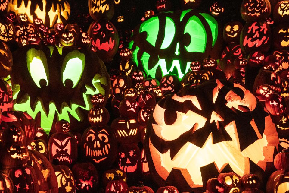 The Jack O'Lantern Spectacular has returned to Iroquois Park and features over 5000 artistically-carved pumpkins. 10/7/20